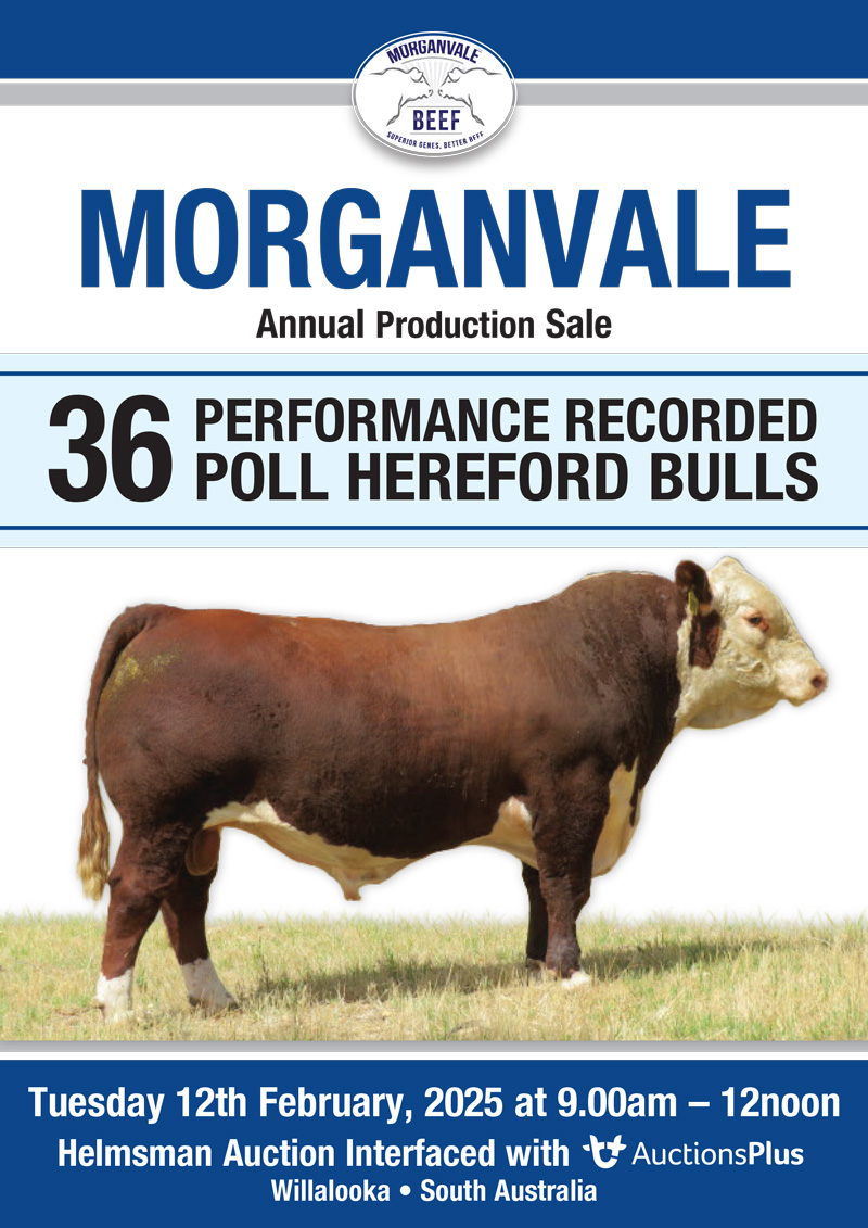 2025-Morganvale-on-property-catalogue-1